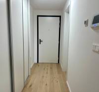 A hallway in a one-room apartment with a wooden decor floor and a built-in wardrobe.