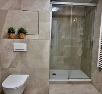 A bathroom in a studio apartment with a toilet, shower, and live plants in baskets.