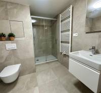 A bathroom in a studio apartment with a toilet, shower, and modern sink.