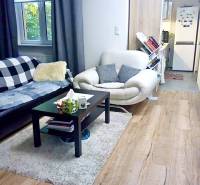 Living room in a studio apartment with a wood-patterned floor and comfortable seating.