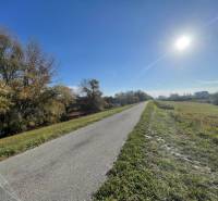 An asphalt road surrounded by trees and meadows at the Cottage in Nova Osada in Komárno.