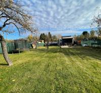 A trampoline in the garden of the Cottage at Nová osada in Komárno with an apple tree and a blue sky.