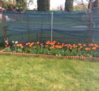 A colorful garden at the cottage in Nova Osada in Komárno with a flower bed of tulips.
