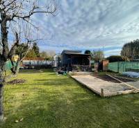 A garden at the cottage in Nova Osada in Komárno with a tree and a lawn.