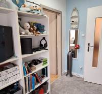Children's room in a 3-room apartment with shelves, books, toys, and a television.