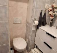 Bathroom in a 3-room apartment with a toilet, sink, and decorative accessories.