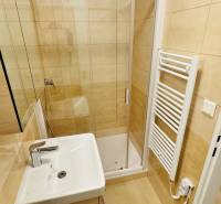 A bathroom with tiled walls, a shower corner, and a sink in a studio apartment.