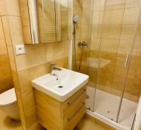 Bathroom with a sink, shower, and tiles in a studio apartment.