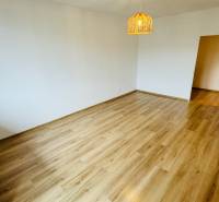 A spacious room with light-colored walls and a floor with a wood decor in a studio apartment.
