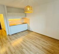 Interior of a 1-room apartment with a kitchen, wooden decor flooring, and pendant lighting.