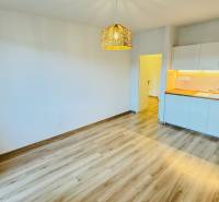 The kitchen in a studio apartment with white cabinets and a wood-patterned floor.