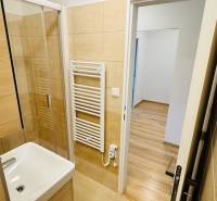 Bathroom in a studio apartment with tiles and fixtures, floor with wood decor.