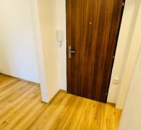 Entrance area with wood-patterned flooring in a studio apartment.