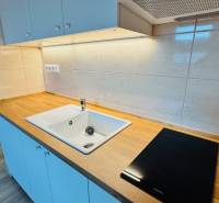 A kitchen unit in a studio apartment with a ceramic sink and a cooktop.