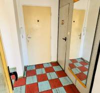 Entrance hall in a one-room apartment with a colorful floor and a mirror on the wall.