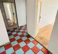 A hallway in a one-room apartment with a colorful floor and a large mirror.