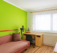 A room with a colored wall, a sofa, a table, and a wooden decor floor in a 2-room apartment.