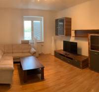 Living room in a two-room apartment with a sofa, TV, and wooden decor flooring.