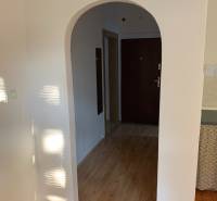 Arched passage, wooden decor flooring, white walls in a 2-room apartment.