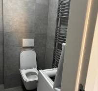 Bathroom with tiles, washing machine, and toilet in a 2-room apartment.
