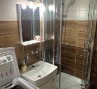 Bathroom in a 2-room apartment with a sink, shower, and washing machine.