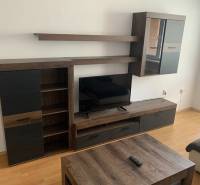 Living room wall unit and television in a 2-room apartment with a wood-patterned floor.