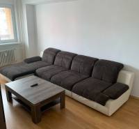 Living room in a two-room apartment with a dark sofa and a wooden decor floor.