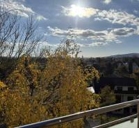 View from the balcony of a 4-room apartment on Pekníkova Street in Pezinok with autumn trees.