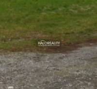 Greenery on the plot in Dulova Ves designated for housing.