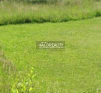 Green plot in Dulova Ves, suitable for living, surrounded by nature.