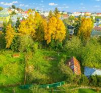 Garden and trees in Banská Štiavnica suitable for plots - living.