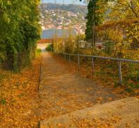 An autumn path lined with leaves, leading to Banská Štiavnica, surrounded by properties - housing.
