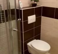 A bathroom with a shower, a wall-hung toilet, and a plant in a studio apartment.