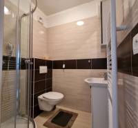 A bathroom in a studio apartment with a corner shower and tiles in neutral shades.