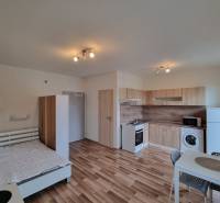 Studio apartment with wood-patterned flooring, kitchen unit, bed, washing machine, and dining table.