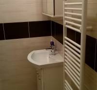 A studio apartment bathroom with a sink, mirrored cabinet, and ladder radiator.