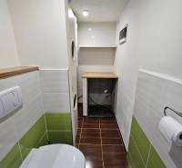 Bathroom with a toilet in a family house with tiles and green and white tiles.