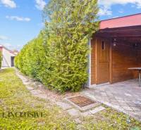 A garden shelter behind a family house in Bátorove Kosihy, surrounded by coniferous trees.