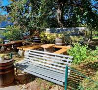 Garden with a bench and wooden barrels in Bratislava, Old Town, on Prokopa Veľkého Street.