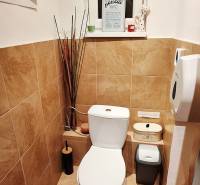 Small bathroom with toilet, accessories on the shelf, white sanitary ware, tiles with stone decor.