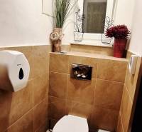Restroom in commercial premises with tiles and decorative plants.