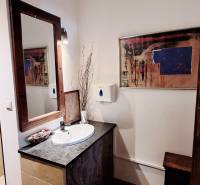 Bathroom commercial spaces with a sink, decorative mirror, and wooden door.