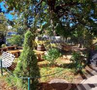 A garden with benches and trees in commercial premises on Prokopa Veľkého in Bratislava - Staré Mesto.