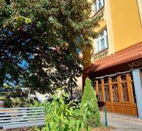 Commercial premises in a wine shop on Prokopa Veľkého in Bratislava - Staré Mesto surrounded by greenery.
