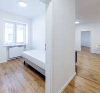 Bright 3-room apartment with a bed and wooden decor flooring.