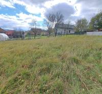 A plot of land with a grassy surface and trees, ideal for living in a quiet location.