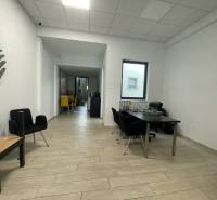 Commercial spaces with wood-decor flooring, minimalist furniture, and striking chairs.