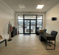 Interior of commercial spaces with furniture and flooring featuring a wood decor.