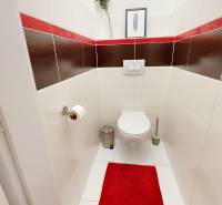 A toilet in a family house with red and brown tiles, white ceramics, red carpet.