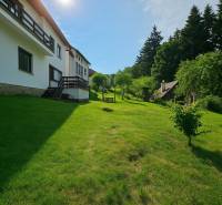 Family house in Hájik in Banská Štiavnica with a spacious green garden and trees.